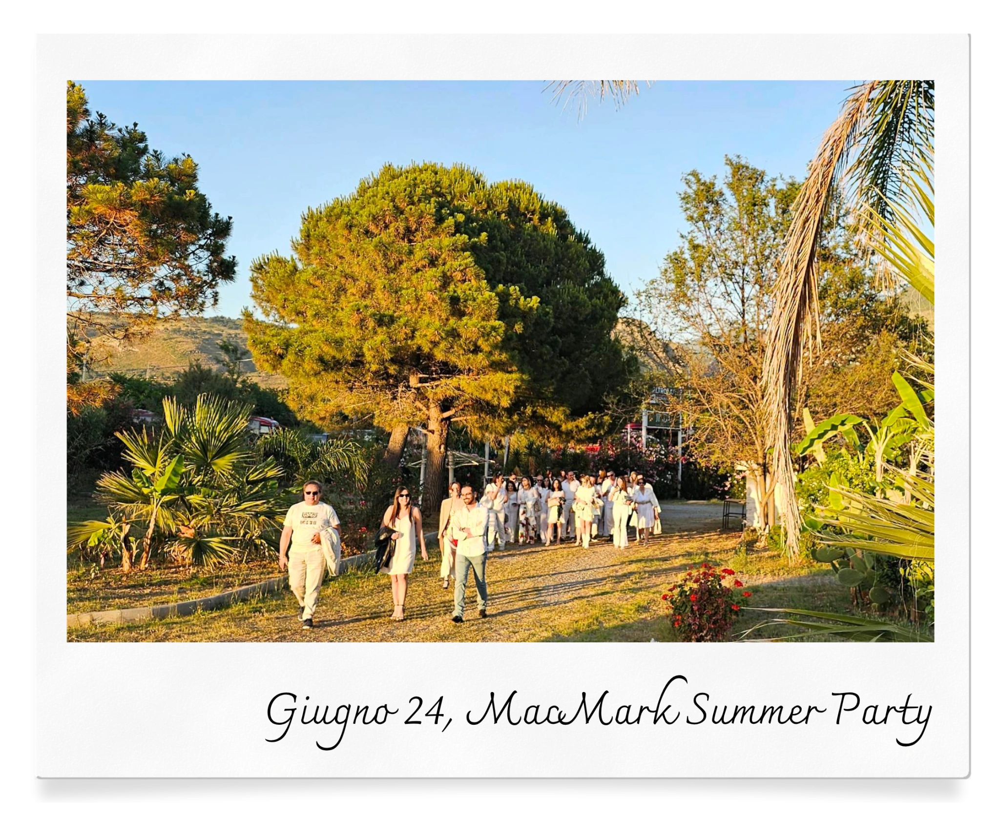Team MacMark Summer Party